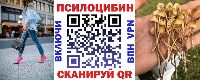 Псилоцибиновые грибы MAGIC MUSHROOMS  купить закладку  Нижнеудинск 