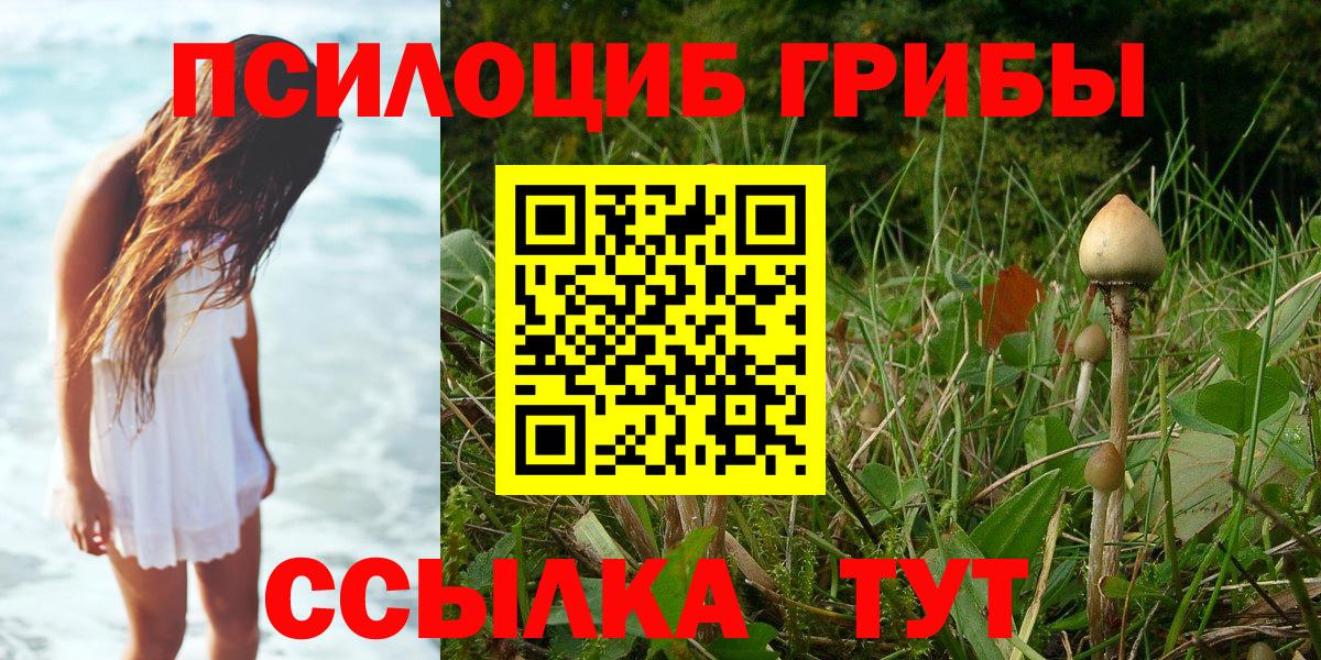 Галлюциногенные грибы прущие грибы  Вход с VPN  Галлюциногенные грибы MAGIC MUSHROOMS  даркнет сайт  Нижнеудинск 